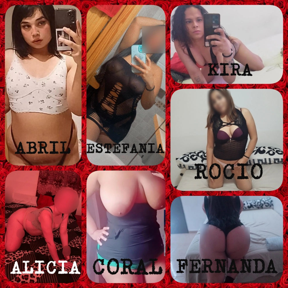 Putas Parla ya no⛔Ahora las mejores Escorts❤️están en MilPasiones