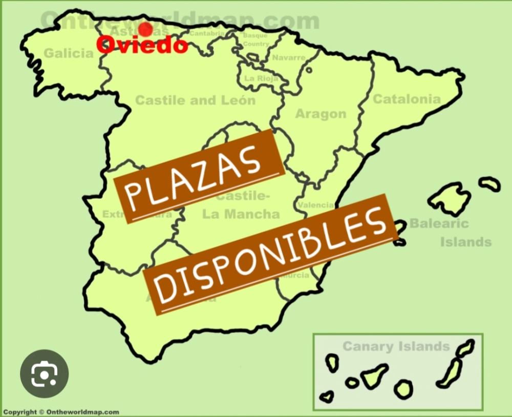 ALTOS INGRESOS. PLAZAS DISPONIBLES EN OVIEDO- ASTURIAS  - 1