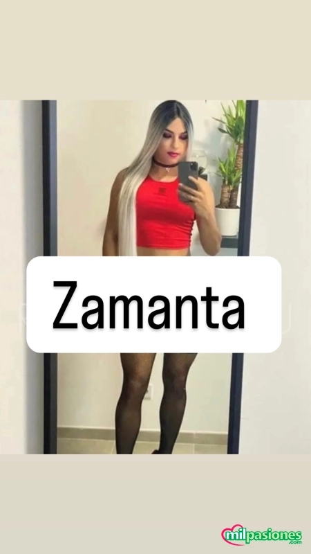 Zamanta latina CD en tu ciudad por unos dias - 1