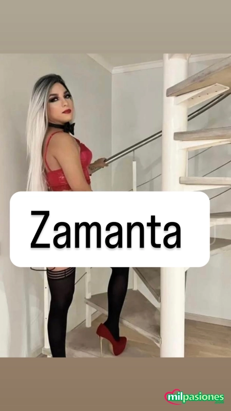 Zamanta latina CD en tu ciudad por unos dias - 5