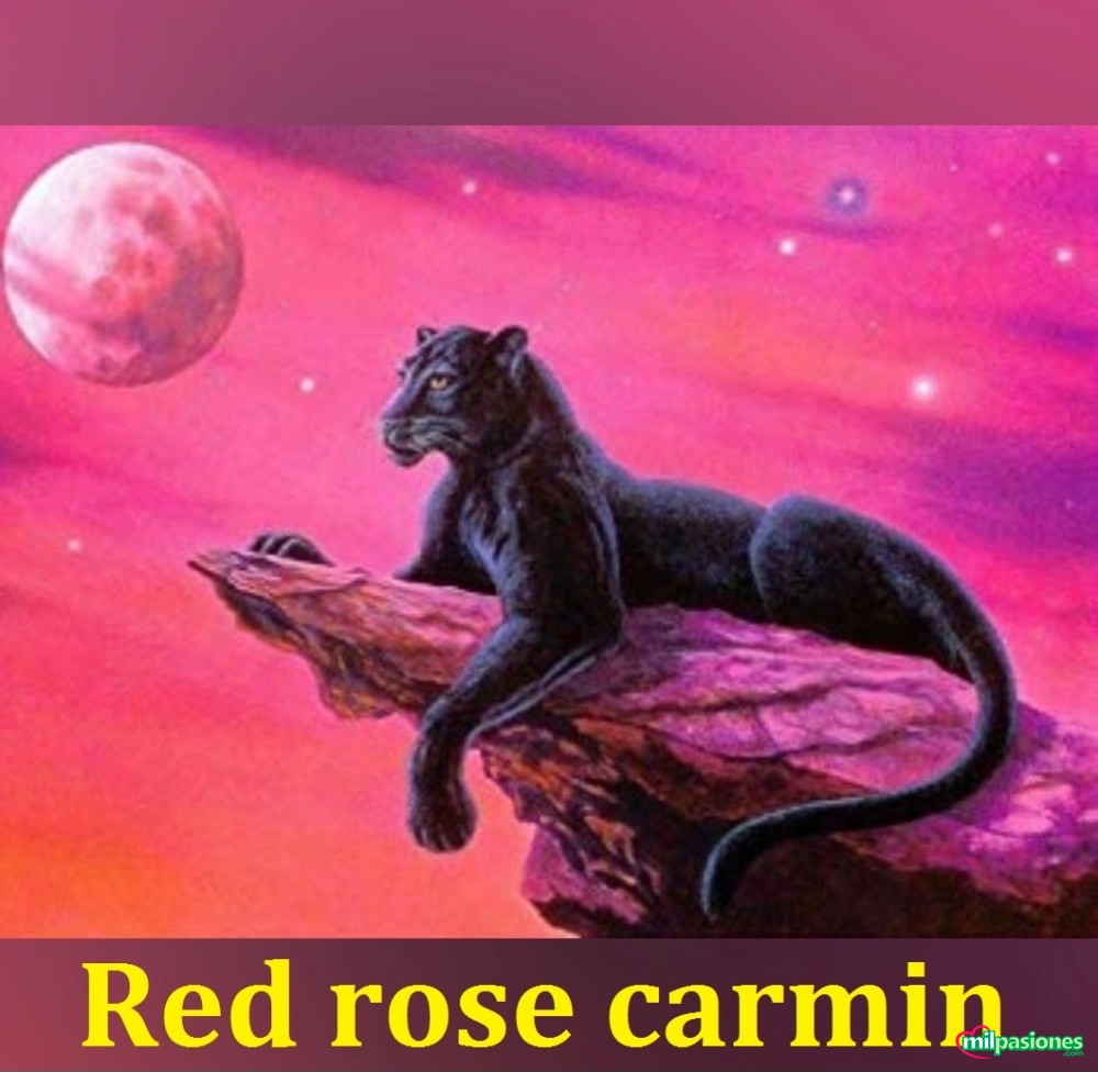 Red rose Carmin para tu relax y mucho mas  - 1