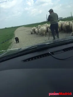 Pollon a mujer para pasar la mañana follando 