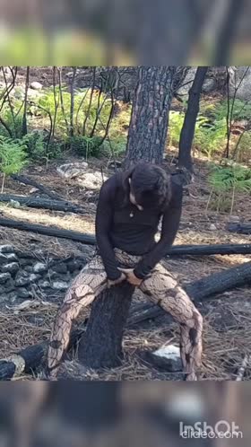 Escorts en Málaga Ciudad